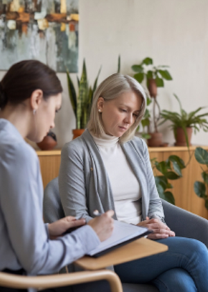 Student meeting with mentor